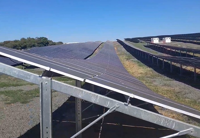 a woman wearing sunglasses and a turban with flowers on her head